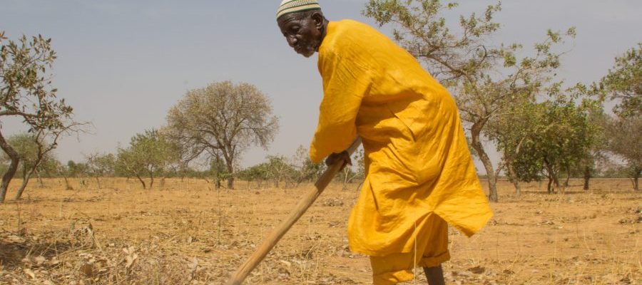 98a3572b-40d6-63bc-01ee-45b6c3b006d0